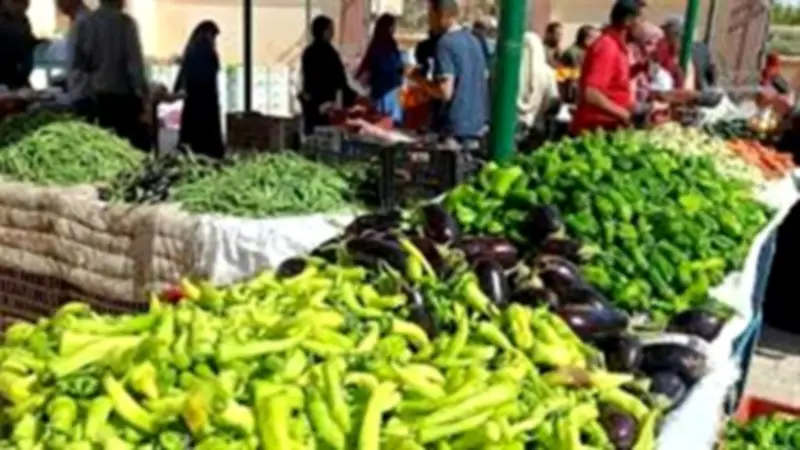 نقيب الفلاحين: تراجع أسعار الخضراوات والفاكهة بنسبة 50% قريباً