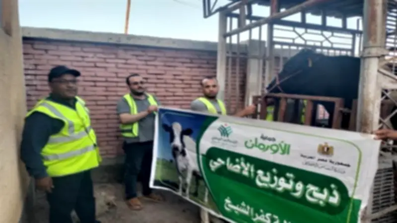 جمعية الأورمان توزع 50 ألف كيلو لحوم على الأسر الأولى بالرعاية في كفر الشيخ خلال عيد الأضحى