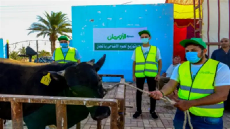 أورمان المنيا تذبح 50 عجلا بلديا خلال أيام التشريق في مجزر سمالوط