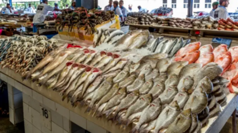 قفزات جديدة بأسعار الأسماك.. الجمبري يتجاوز 500 جنيه والبلطي يتراجع