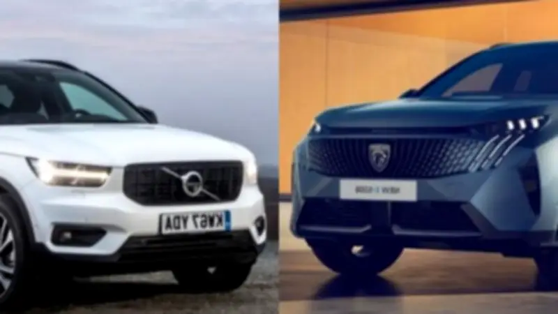 مقارنة شاملة بين بيجو 5008 وفولفو XC 40 موديل 2026 في السوق المصري