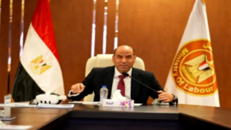 5173 فرصة عمل جديدة للشباب في 17 محافظة.. إليك خطوات التقديم