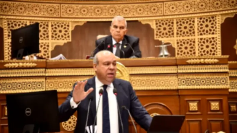 حفني: جميع شركات مصر للطيران حققت أرباحا لأول مرة.. وخسائر الحرب 53 مليون دولار