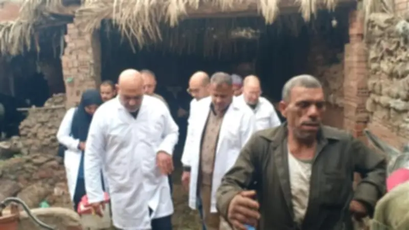 ضبط 5.5 طن لحوم ومصنعات دواجن غير صالحة للاستهلاك بالقليوبية