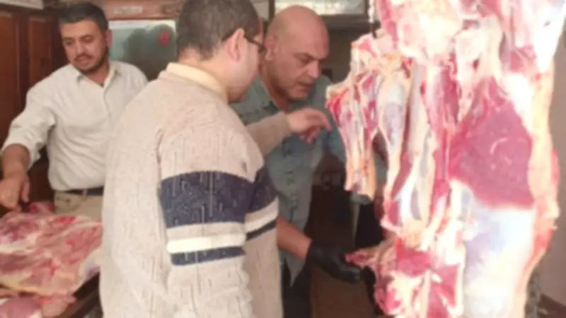 ضبط 5.5 طن لحوم فاسدة في حملات بيطرية مكثفة بالقليوبية