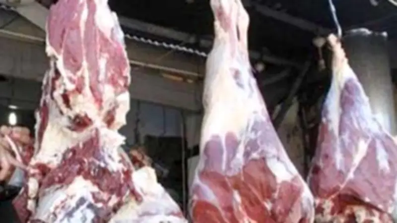 ضبط 572 كيلو لحوم ودواجن ورنجة غير صالحة بالغربية قبل عيد الأضحى