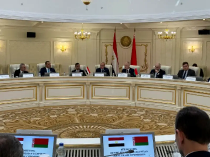 وزير الاستثمار: 60 مليون دولار حجم التبادل التجاري مع بيلاروسيا في 2025