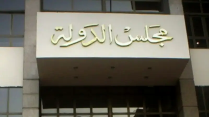 القضاء الإداري يلزم التضامن الاجتماعي بتجديد كارت الخدمات لذوي الإعاقة 7 سنوات
