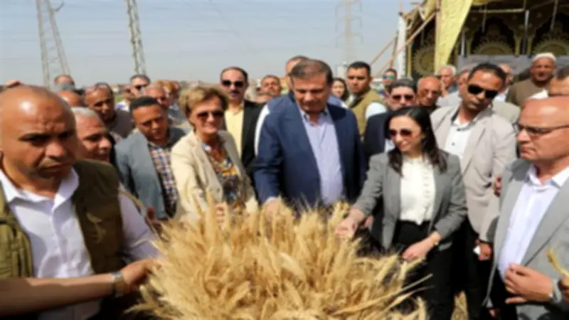 شروط التقدم للجوائز التشجيعية بوزارة الزراعة.. إعلان الفائزين 7 أكتوبر