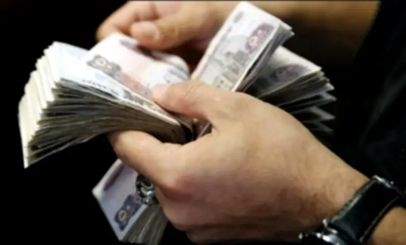 تفاصيل حافز التميز العلمي للموظفين: 7% من الأجر أو مبالغ ثابتة