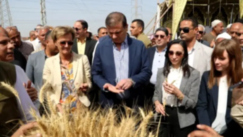 وزير الزراعة: القمح خط أحمر ونستهدف 70% اكتفاءً ذاتياً وتخطى الإنتاج 10 ملايين طن