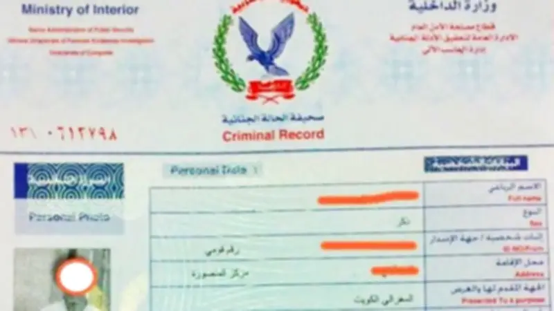 بـ 70 جنيها.. أسرع طريقة لاستخراج الفيش الجنائي 2026