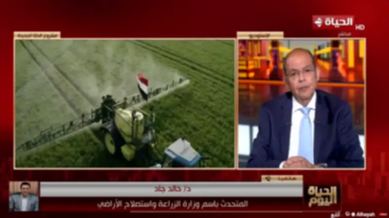 متحدث الزراعة: الدلتا الجديدة ترفع الاكتفاء الذاتي من القمح إلى 70% بحلول 2030