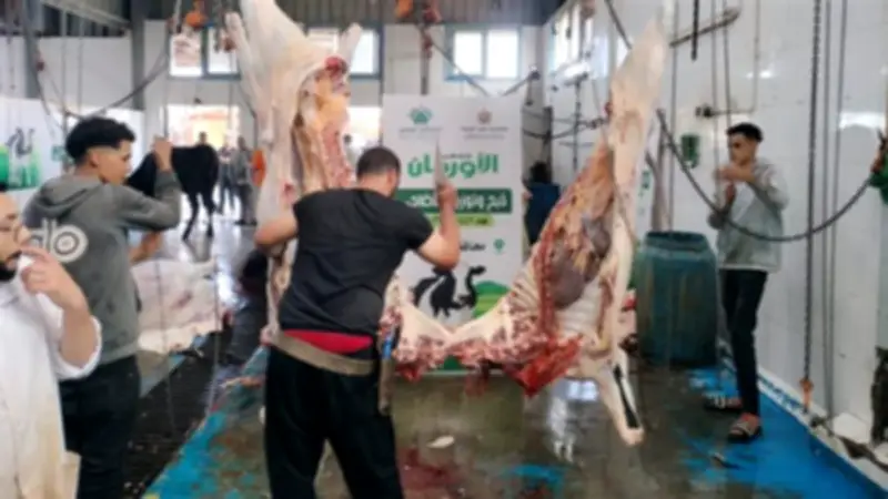 محافظ الغربية يشرف على توزيع لحوم 70 أضحية للأسر الأكثر احتياجًا