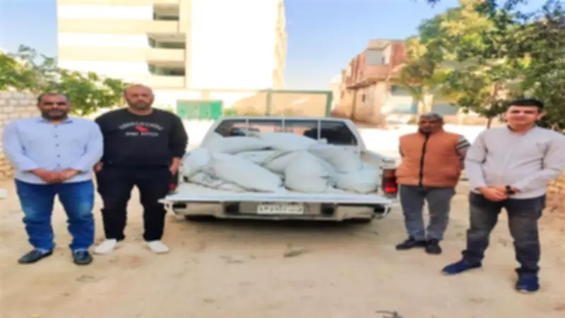 ضبط 71 مخالفة تموينية بالفيوم والتحفظ على طن دقيق مدعم قبل تهريبه