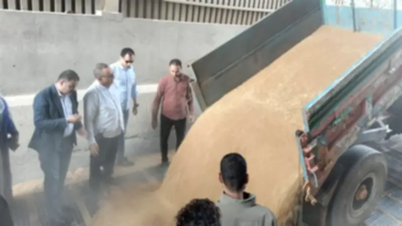 محافظ الدقهلية: توريد 74 ألف طن قمح محلي لمواقع التخزين والصوامع