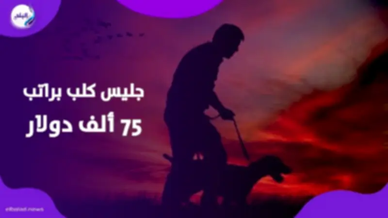 جليس لكلب بـ75 ألف دولار.. أغرب وظيفة براتب خرافي