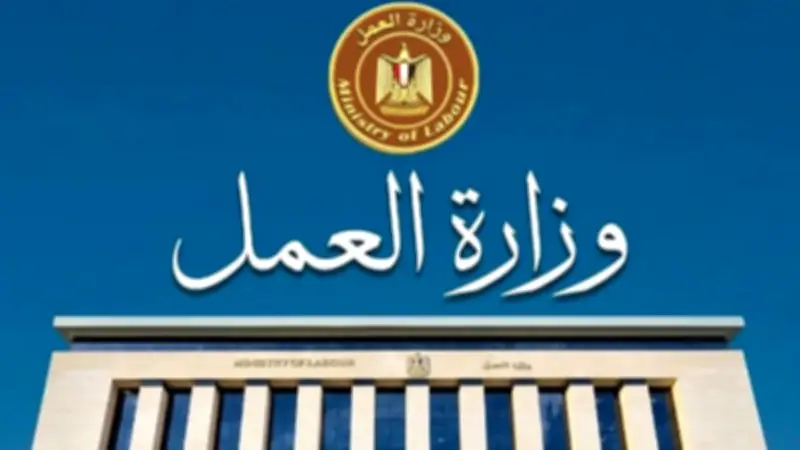 77 فرصة عمل جديدة في بورسعيد براتب يبدأ من 8500 جنيه