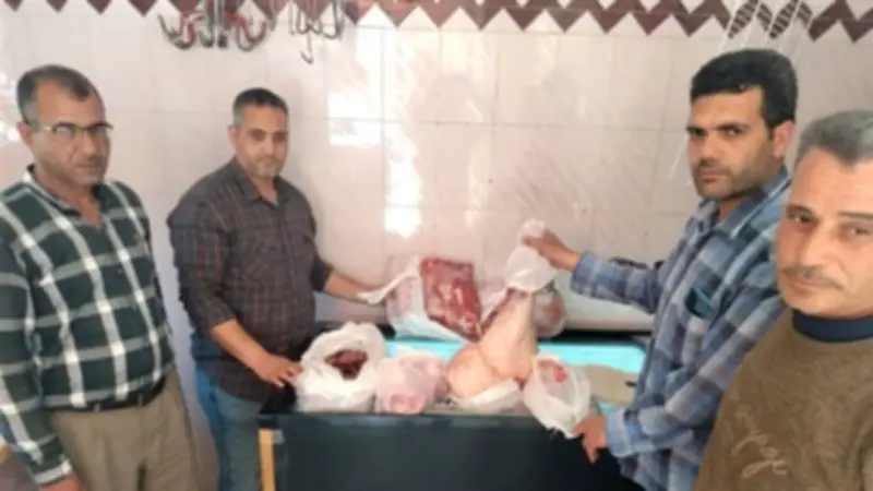 ذبح 7788 رأس ماشية بالمجازر الحكومية في البحيرة ضمن حملات تفتيشية مكثفة