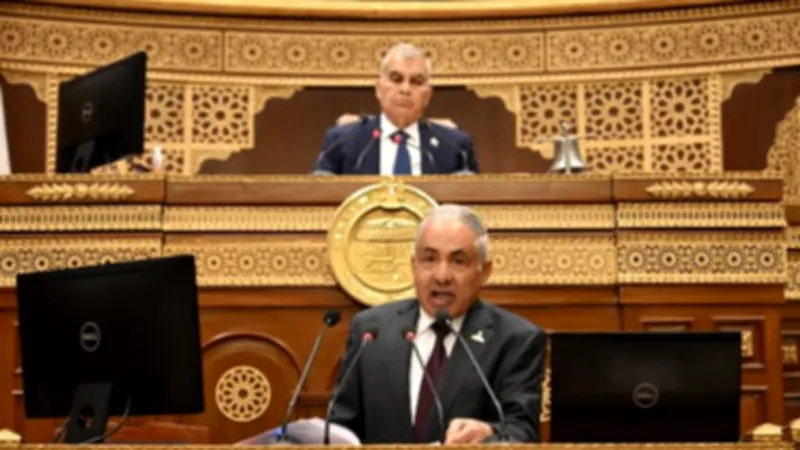 نائبة بمجلس الشيوخ: 79 طالبًا رسبوا في طب من مدرسة ثانوية واحدة
