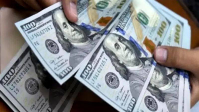استقرار سعر الدولار اليوم في مصر الجمعة 8 مايو 2026