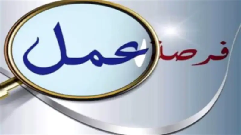 رواتب تبدأ من 8 آلاف جنيه.. فرص عمل متنوعة في عدة تخصصات بمصر