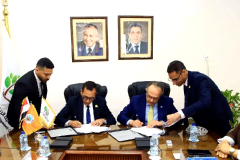 بطول 82 كم تنمية الريف تنفذ طريق استراتيجي جديد في سهل المنيا الغربي