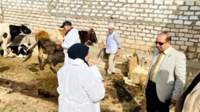 تحصين 85 ألف رأس ماشية ضد الحمى القلاعية والوادي المتصدع بالدقهلية