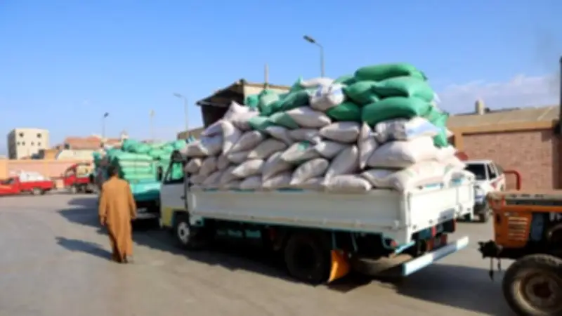 محافظ المنوفية يتابع توريد القمح ويعلن جمع 85 ألف طن منذ بدء الموسم