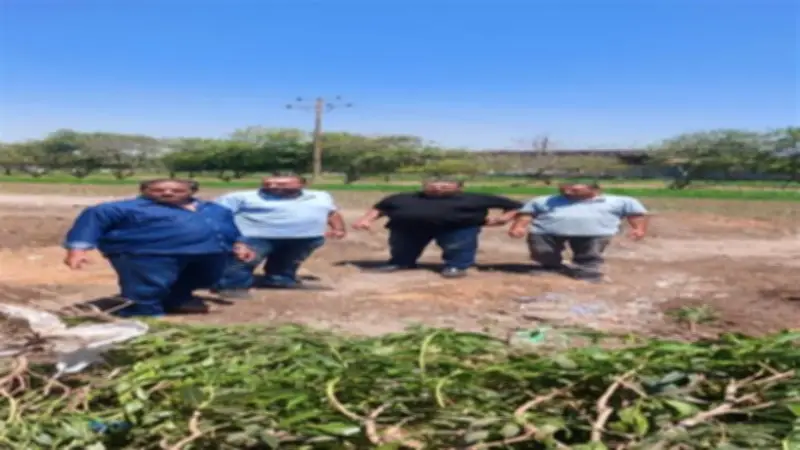 الزراعة تزيل التعديات على الأراضي الزراعية في 9 محافظات خلال عيد الأضحى
