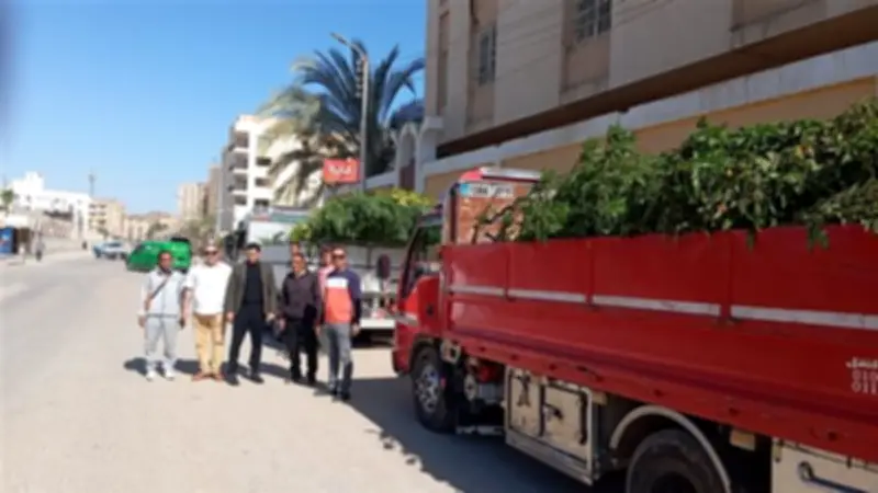 الفيوم تتسلم 9985 شتلة ضمن مبادرة 100 مليون شجرة لغرسها بالمدارس ومراكز الشباب