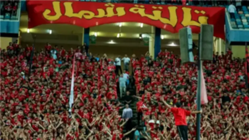 الإفتاء والأوقاف تحذران من التعصب الكروي قبل قمة الأهلي والزمالك