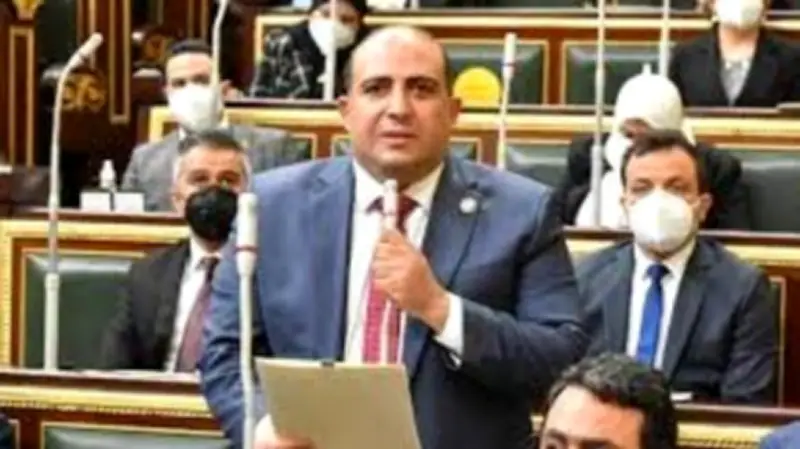 وكيل الشئون الأفريقية بالبرلمان: قرارات السيسي في عيد العمال ترسخ العدالة الاجتماعية