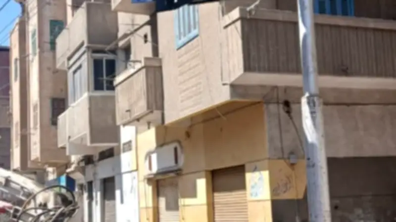 تكثيف النظافة وصيانة الإنارة بالإسماعيلية خلال أسبوع