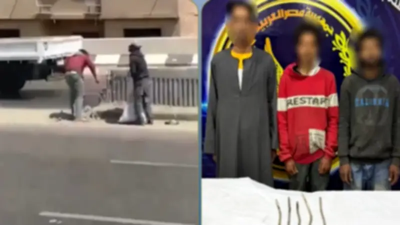 كشف تفاصيل فيديو تكسير سور الدائري وسرقة الحديد بالقليوبية