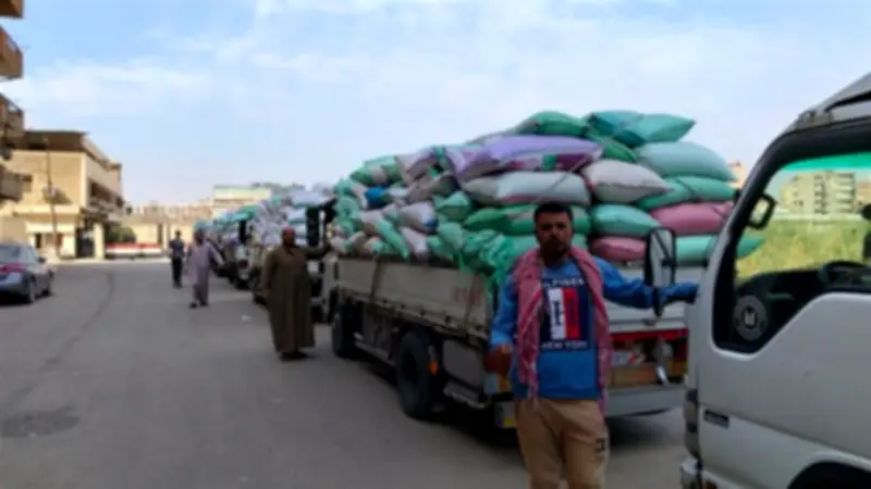 محافظ القليوبية: انتظام توريد القمح وتوجيهات بصرف مستحقات المزارعين