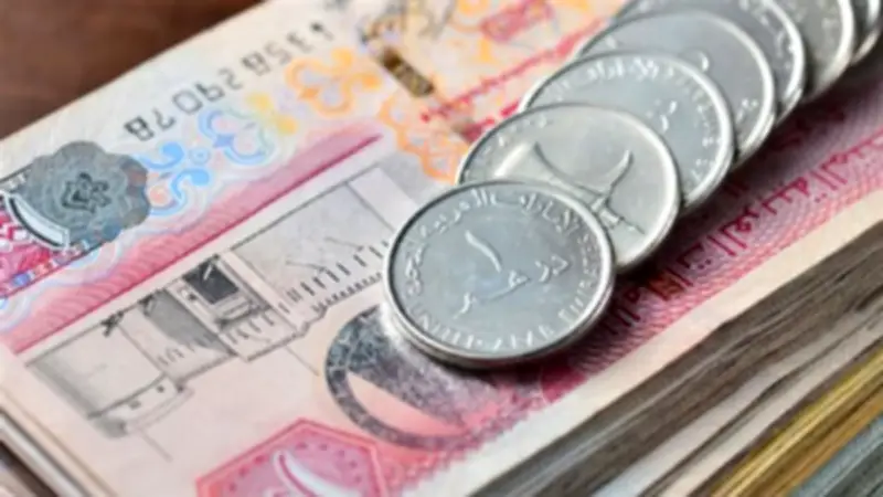 استقرار سعر الدرهم الإماراتي أمام الجنيه المصري اليوم الجمعة