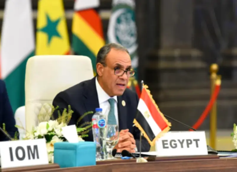 الخارجية المصرية تؤكد تضامنها الكامل مع مالي في مكافحة الإرهاب