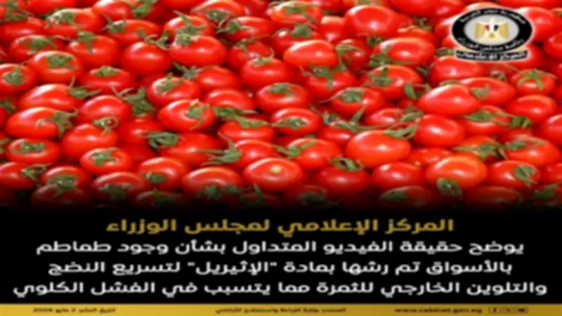 نفي وجود طماطم مرشوشة بالإثيريل في الأسواق المصرية