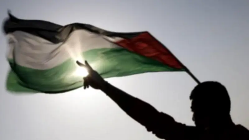 الاحتلال يطارد العلم الفلسطيني.. قمع إسرائيلي يمزق راية الشعب الأعزل