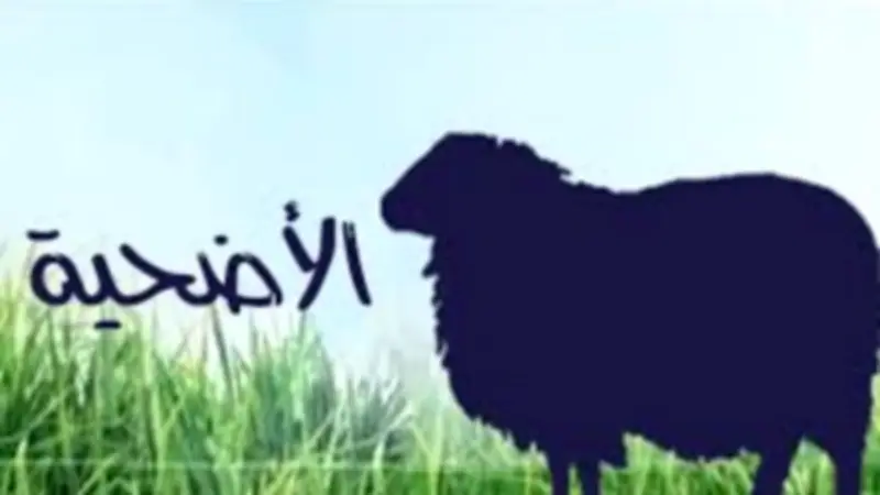 هل يجوز التصدق بثمن الأضحية بدلا عن الذبح؟ الإفتاء تجيب