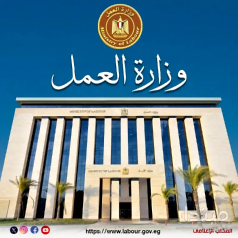 وزارة العمل تحذر من محاولات النصب بمنح العمل غير المنتظمة