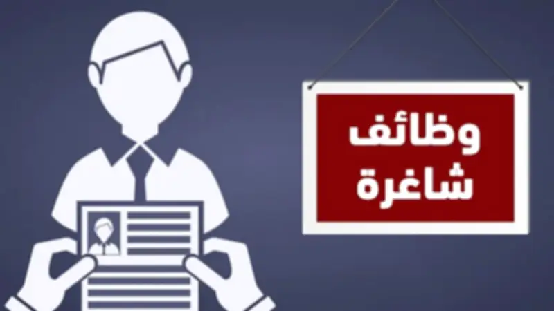 فرص عمل بشركة أكتا للنقل الجماعي ووزارة العمل في مصر