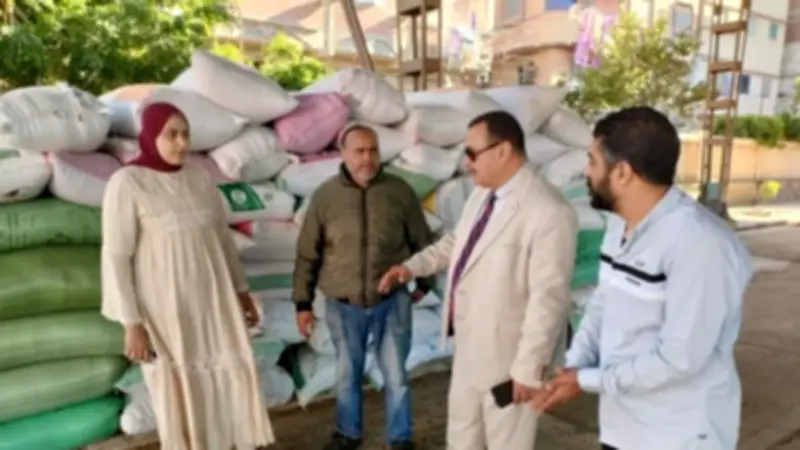 بدء موسم توريد القمح في دمياط بمتابعة يومية ولجان فحص