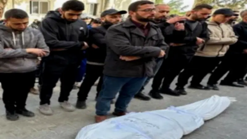 أشرف أبو الهول: الدعم المصري لغزة مستمر لتعزيز صمود الفلسطينيين