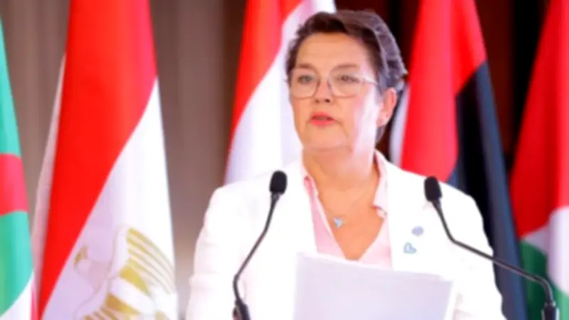 مسؤولة أممية تشيد بخطوات مصر في مكافحة جرائم تقنية المعلومات