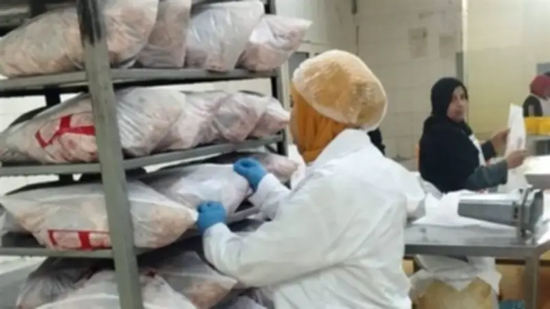 ذبح مليوني طائر دواجن بالجيزة في أسبوع تحت رقابة مشددة