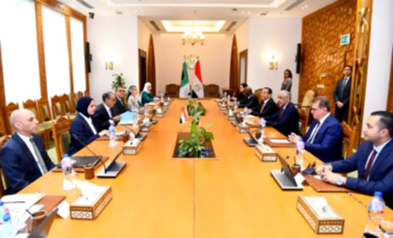 وزير الخارجية يبحث تعزيز الشراكة الاستراتيجية مع رئيس بنك التنمية الإفريقي