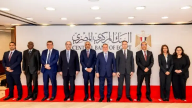 مباحثات مصرية أفريقية لبدء مرحلة جديدة من الشراكة الاستراتيجية