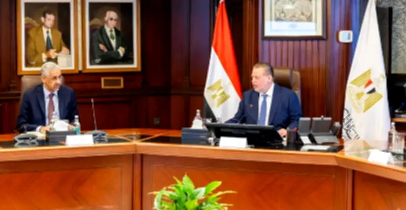 المركزي المصري وبنك التنمية الأفريقي يبحثان آليات دعم الاستقرار المالي في أفريقيا